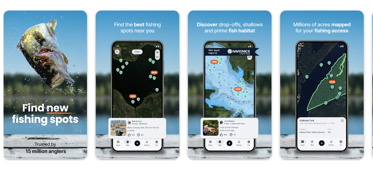 example of a social media fishbrain