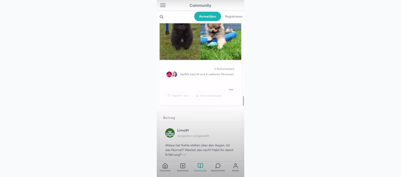 DeineTierwelt mobile app public community