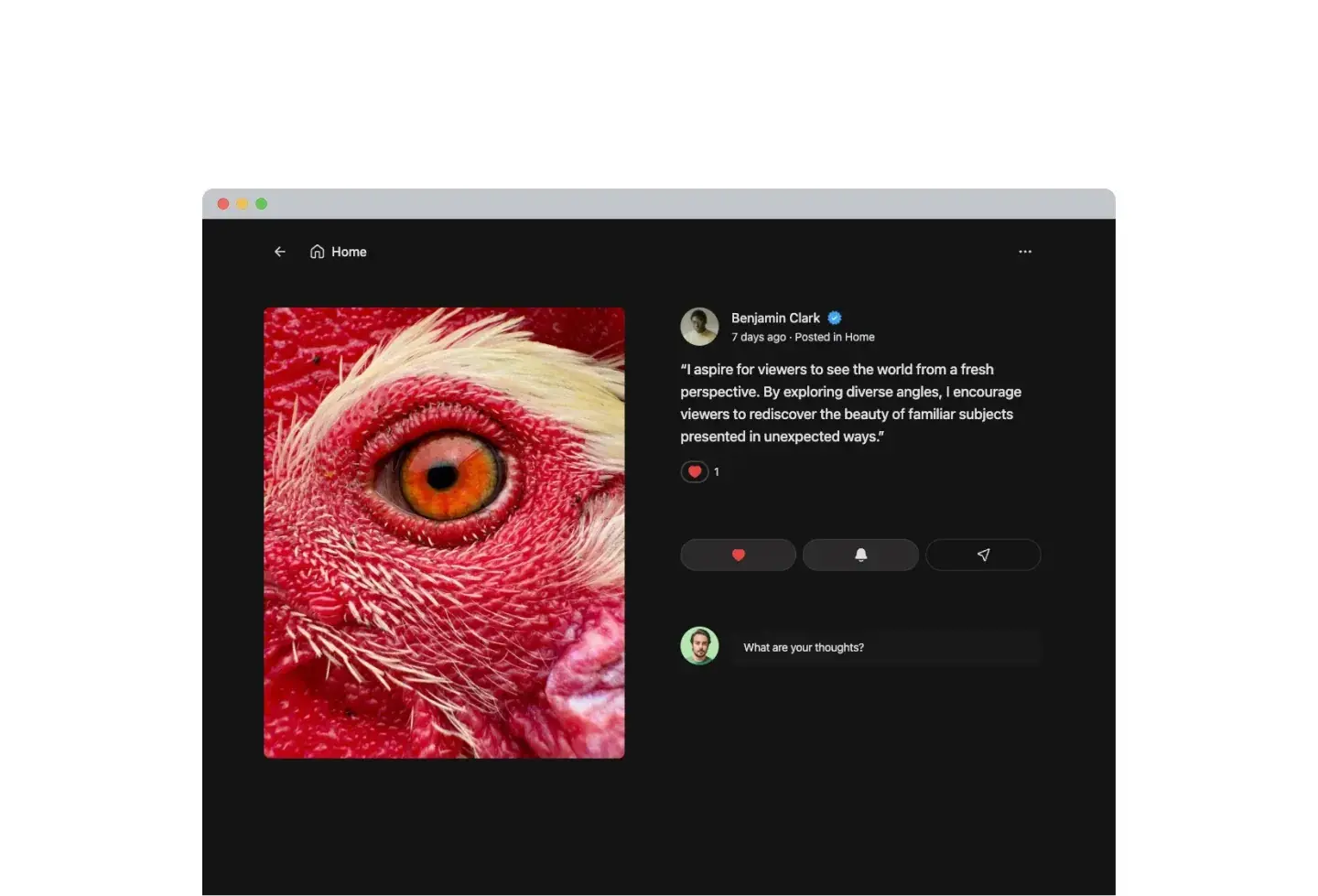 Bettergram template: post page