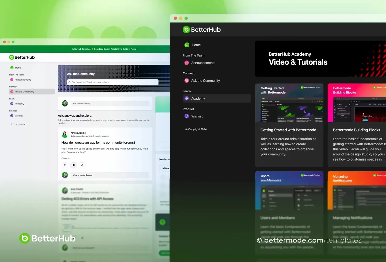 BetterHub template: academy